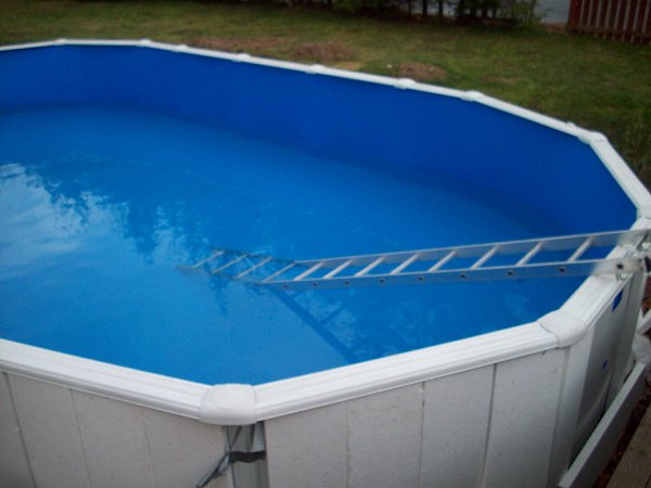 pool1.jpg