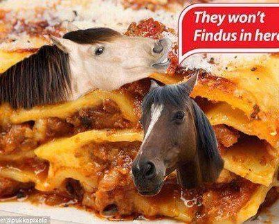 findus.jpg